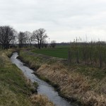 61a-Leuna Blick Auf Der Bach Von Verbindungsstraße Wölkau & Wüsteneutzsch Nach Nordwesten