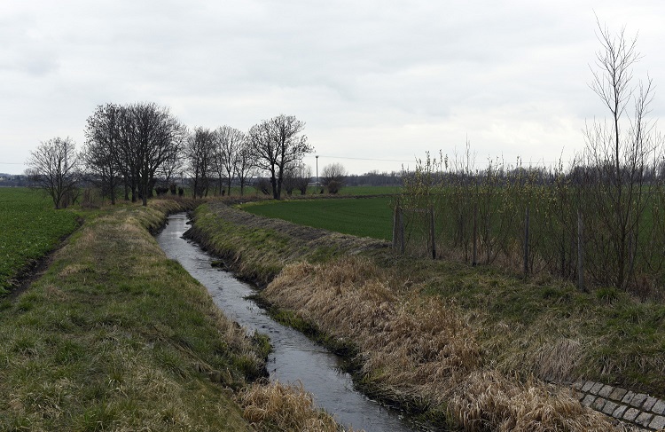 61a-Leuna Blick Auf Der Bach Von Verbindungsstraße Wölkau & Wüsteneutzsch Nach Nordwesten