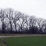 65a-Leuna Kreypau Blick Nach Nordwesten Auf Ostteil Kreypauer Holz