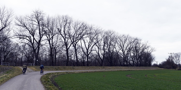 65a-Leuna Kreypau Blick Nach Nordwesten Auf Ostteil Kreypauer Holz