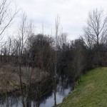 67a-Merseburg Trebnitz Blick Auf Alte Saale Nach Norden