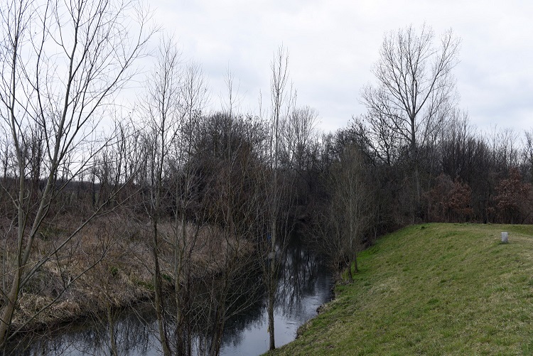 67a-Merseburg Trebnitz Blick Auf Alte Saale Nach Norden