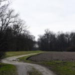 69a-Merseburg Blick Auf Fasanerie Nach Nordwesten