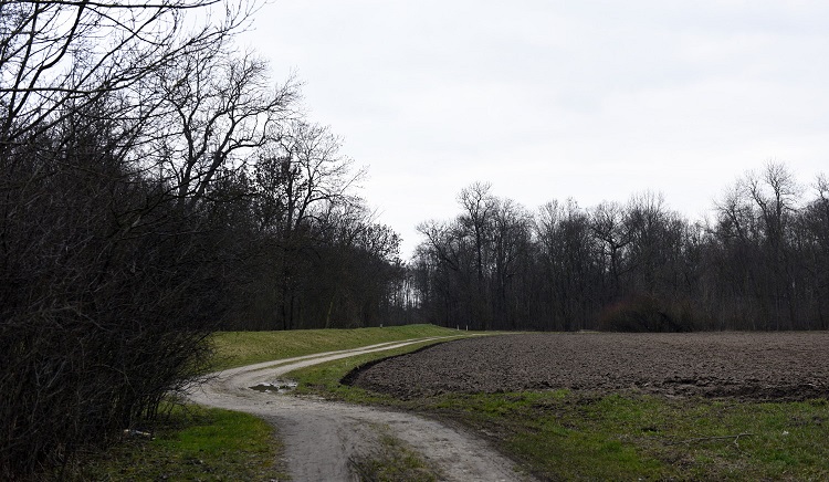 69a-Merseburg Blick Auf Fasanerie Nach Nordwesten