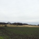 7-Niemberg Brachstedter Straße Blick Nach Norden