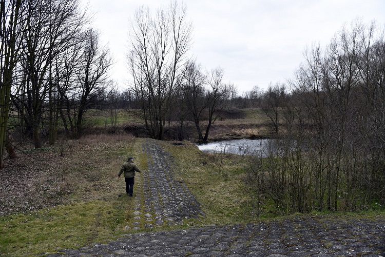 70a-Merseburg Alte Saale Nordwestlich Fasanerie Blick Nach Südwesten