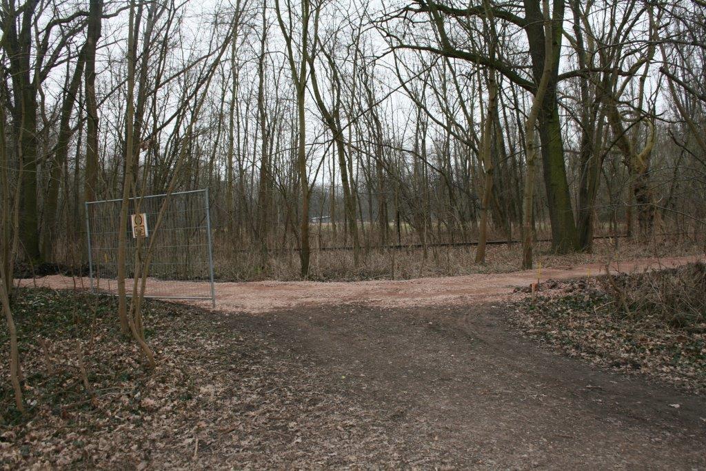 8-Halle Peißnitz Nordteil Blick Auf Wegegabelung Ostweg & Südweg Peißnitznordspitze Nach Süden