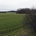 8a-Niemberg Brachstedter Straße Blick Nach Nordwesten Zum Burgstetten