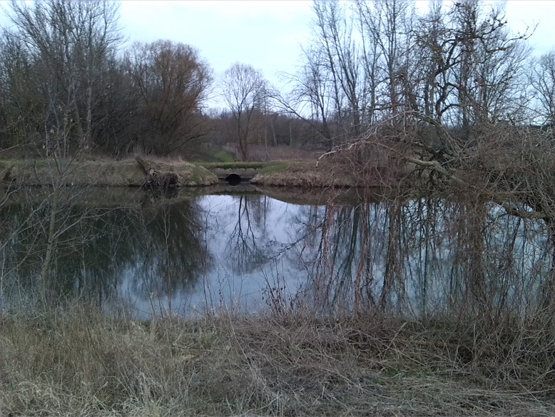 9a-Schkopau Blick Von Verbindungsstraße B91 & Kollenbey Nach Südwesten Auf Saale & Einmündung Laucha (3)
