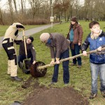 Bild 16 - Der Baum wird zur Pflanzung vorbereitet