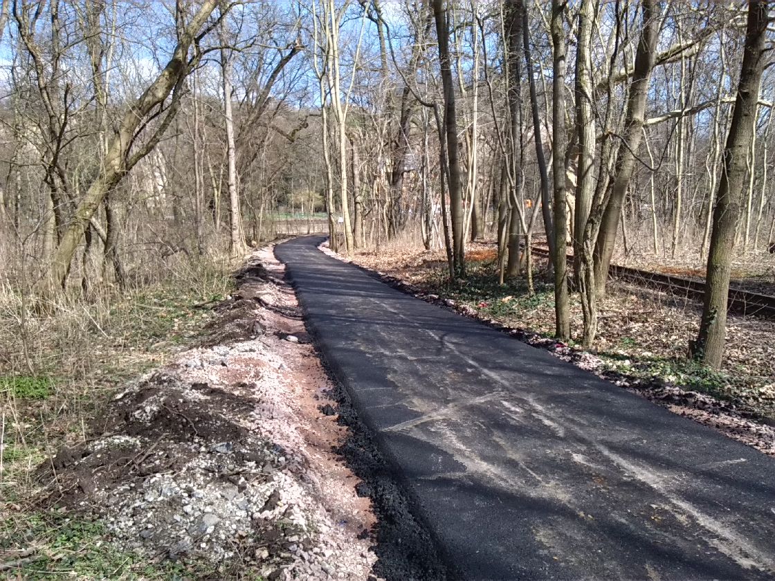 3-Halle Südrand NSG Peißnitznordspitze Blick Nach Nordosten (3)
