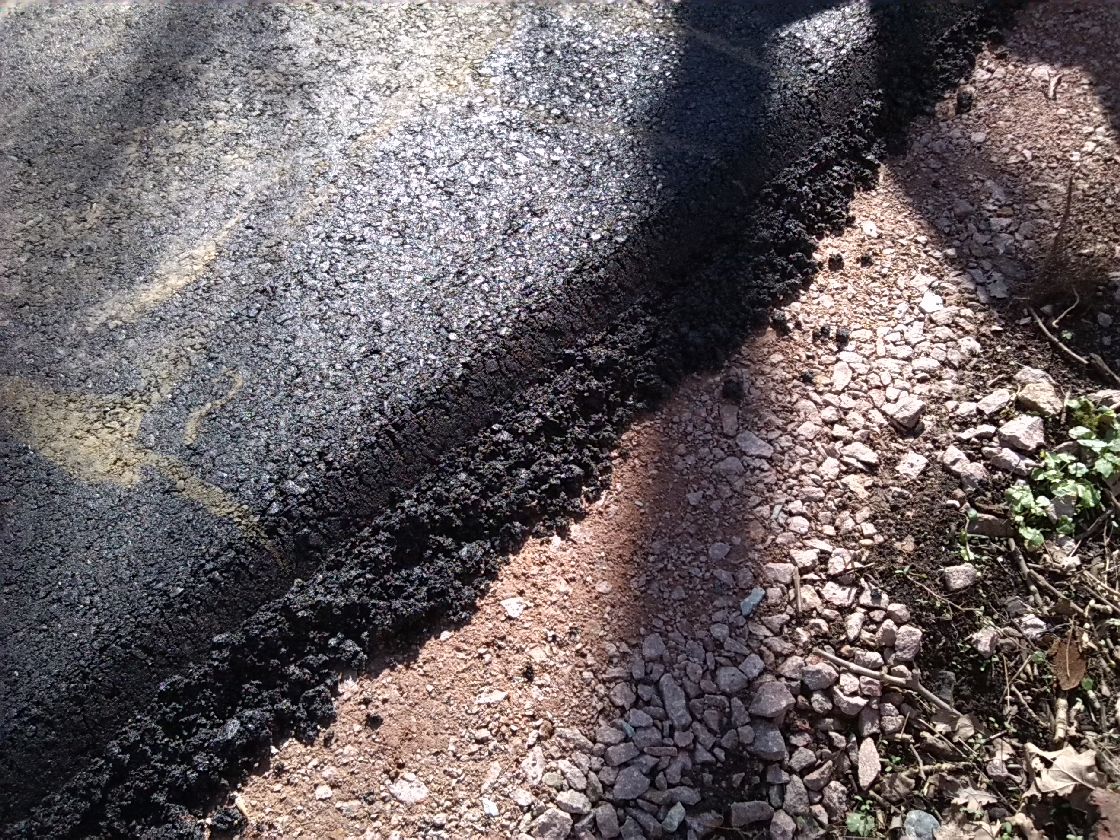 4-Halle Südrand NSG Peißnitznordspitze Blick Auf Asphaltweg