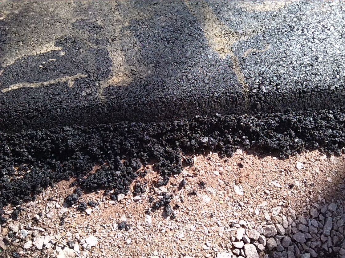 5-Halle Südrand NSG Peißnitznordspitze Blick Auf Asphaltweg