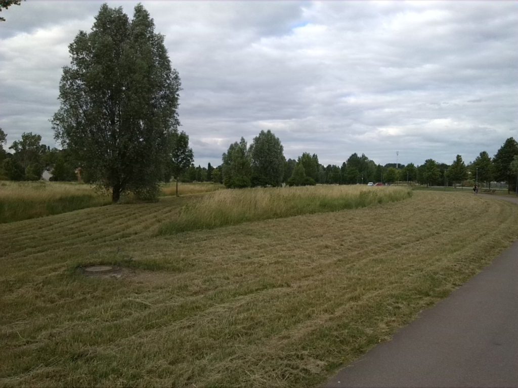 1-Halle Saugraben Weinbergwiesen Blick Nach Nordosten (2)