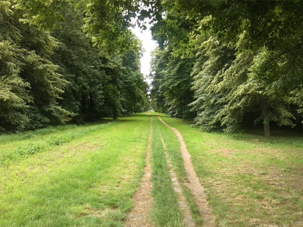 3-Dresden Blick Vom Nordwestende Pieschener Allee Nach Südosten (2)