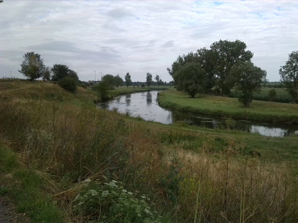 4-Stassfurt Radwanderweg Nach Hohenerxleben Blick Auf Bode Flussabwärts Nach Osten (1)