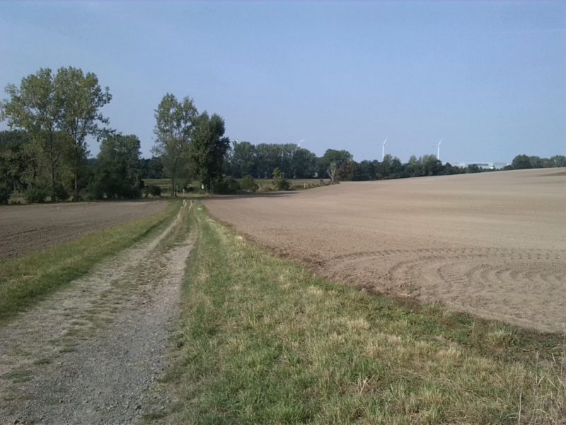 18-taucha-seegeritz-blick-von-plaussiger-weg-auf-partheaue-nach-westen-2