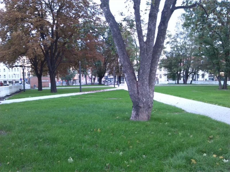 4-halle-blick-aus-magdeburger-strasse-auf-park-am-steintor-nach-westen-2