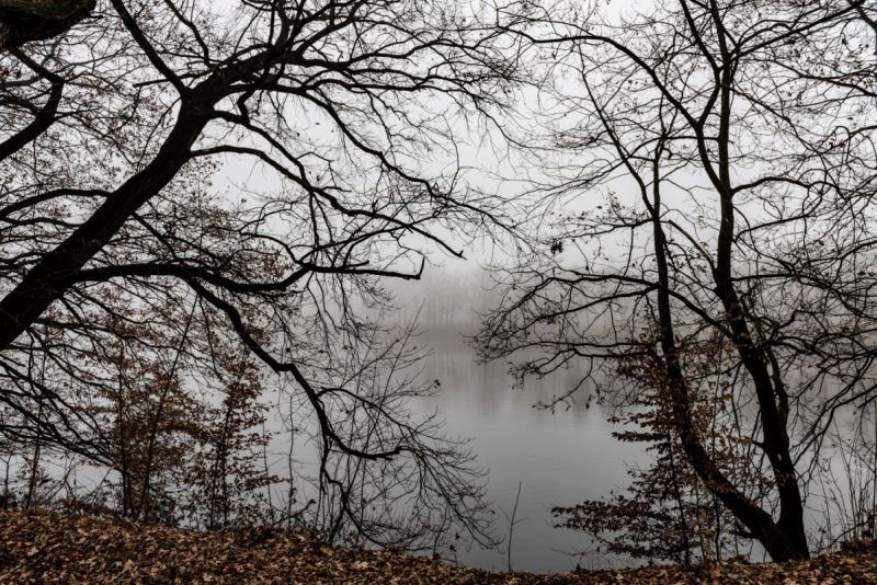 1-leipzig-wahren-blick-von-westufer-auensee-nach-osten