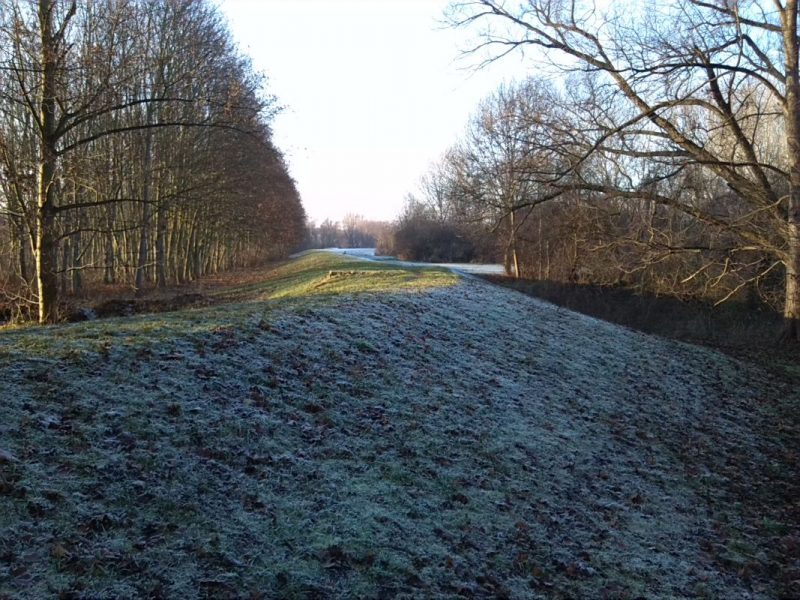 45-Merseburg Südwestteil Fasanerie Blick Nach Nordwesten Auf Saaledeich (1)