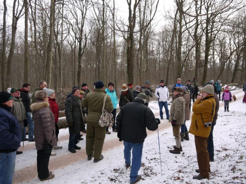 19-Hakel Westteil Blick Von Weg Von Heteborn Nach Nordosten