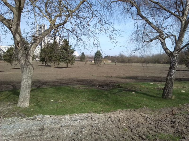 15-Bernburg Am Werder Blick Auf Frühere Gartenvereine Saalestrand & Eisenbahner Nach Nordosten (1)