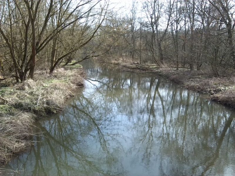 32-Bernburg Kesselbusch Blick Auf Wipper Flussabwärts Auf Einmündung In Saale Nach Südosten (1)