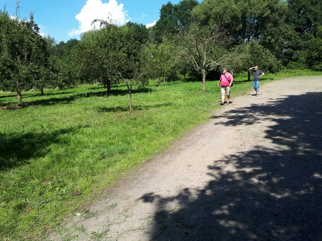 1-Dessau-Roßlau-Blick nach Nordosten auf Streuobstwiese am Landhaus