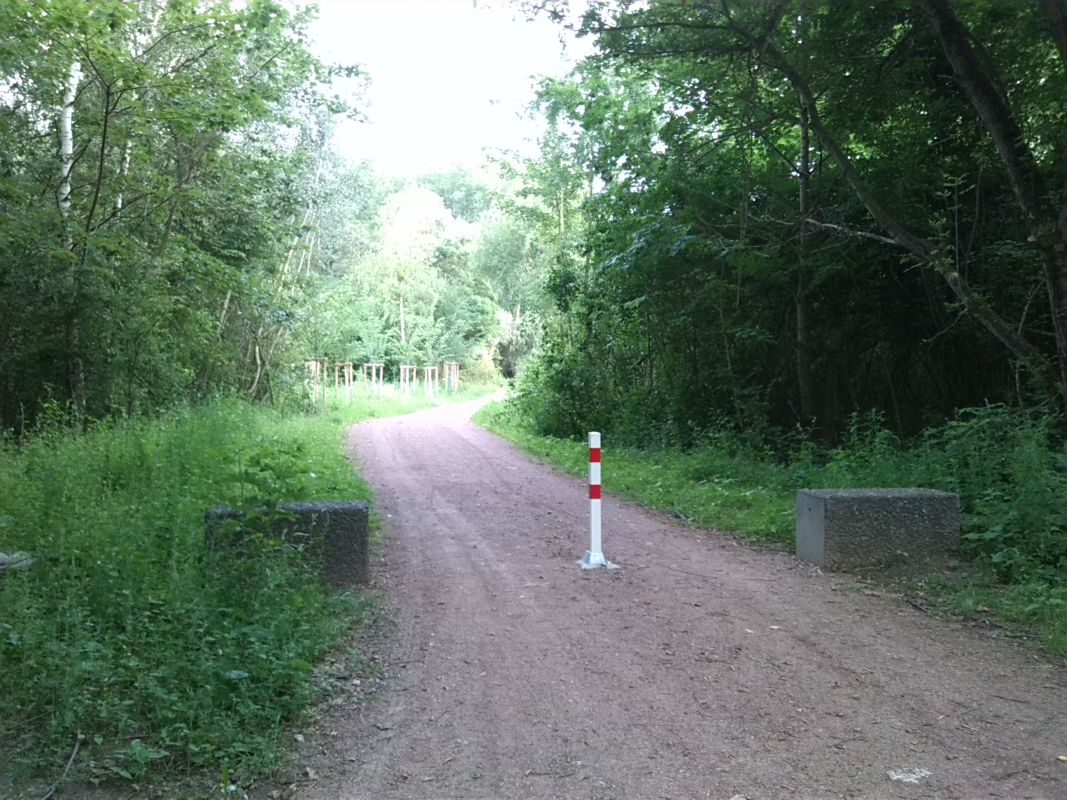 1-Halle_Zöberitzer Straße Blick auf Verbindungsweg zum Wickenweg nach Süden (1)