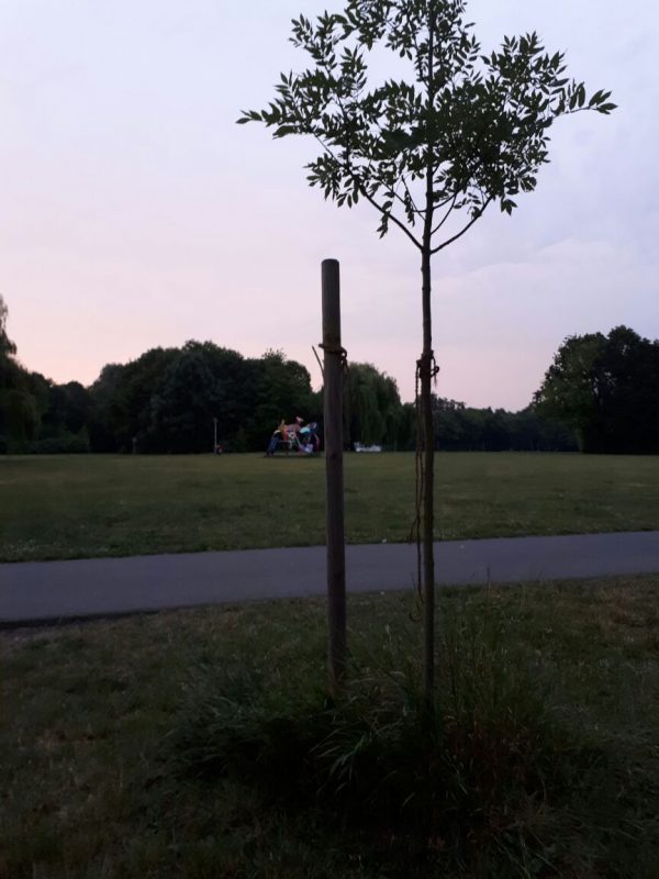 2-Halle Nordteil Ziegelwiese Blick nach Osten