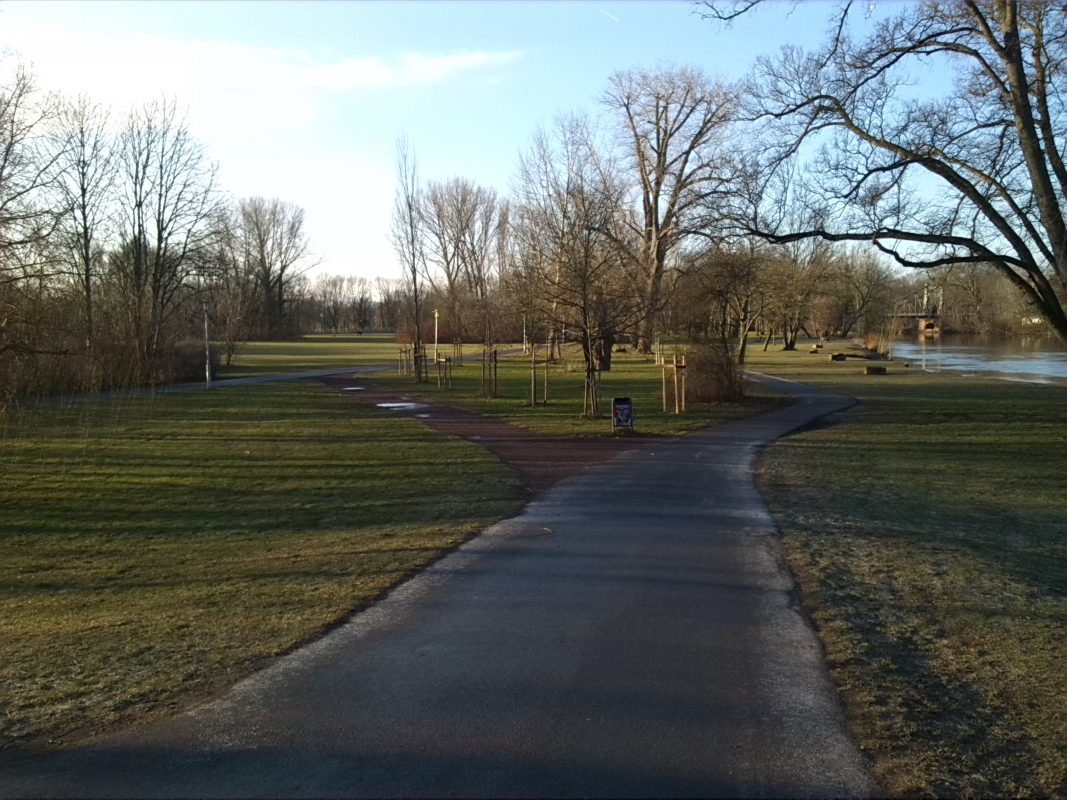 1-Halle-Giebichenstein-Ziegelwiese-Nordwestbereich-Blick von Ochsenbrücke nach Süden (1)