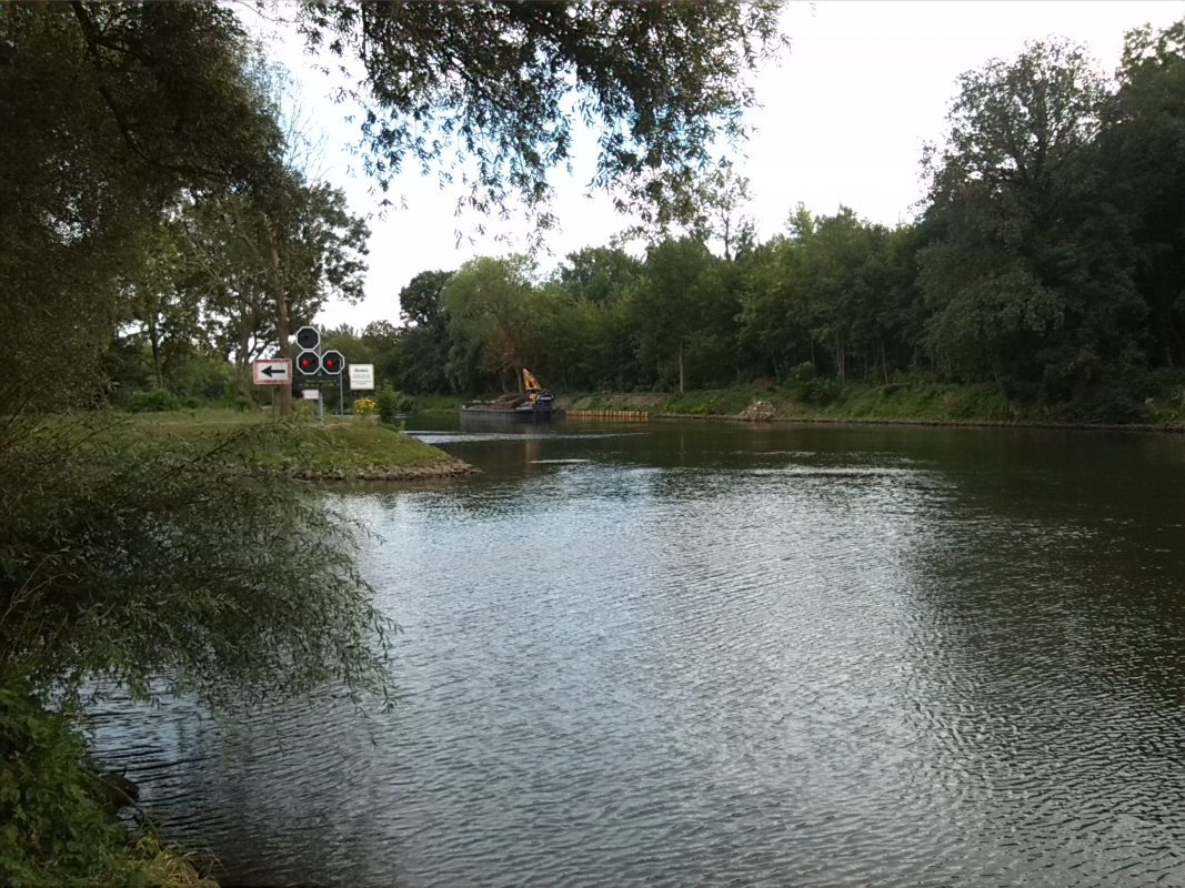 01-Halle-Ziegelwiese-Blick nach Südwesten auf Schleusengraben&Saale&Südteil Peißnitz (1)