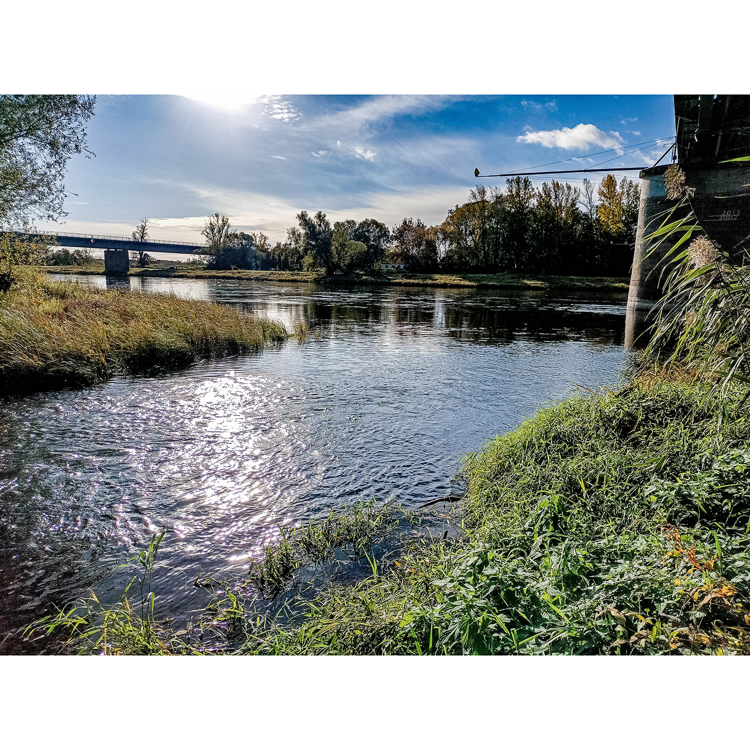 05-Dessau-Roßlau-Roßlau - Mündungsgebiet Rossel in Elbe - Blick nach Südosten auf Einmündung Rossel in Elbe gewässeraufwärts & Elbbrücke Roßlau - B 184