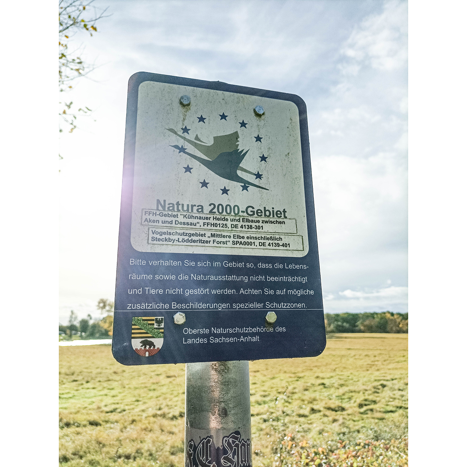08-Dessau-Roßlau-Roßlau - Unterluch-Nordostspitze - Blick nach Südosten auf Elbe gewässerabwärts & Natura 2000 Schild