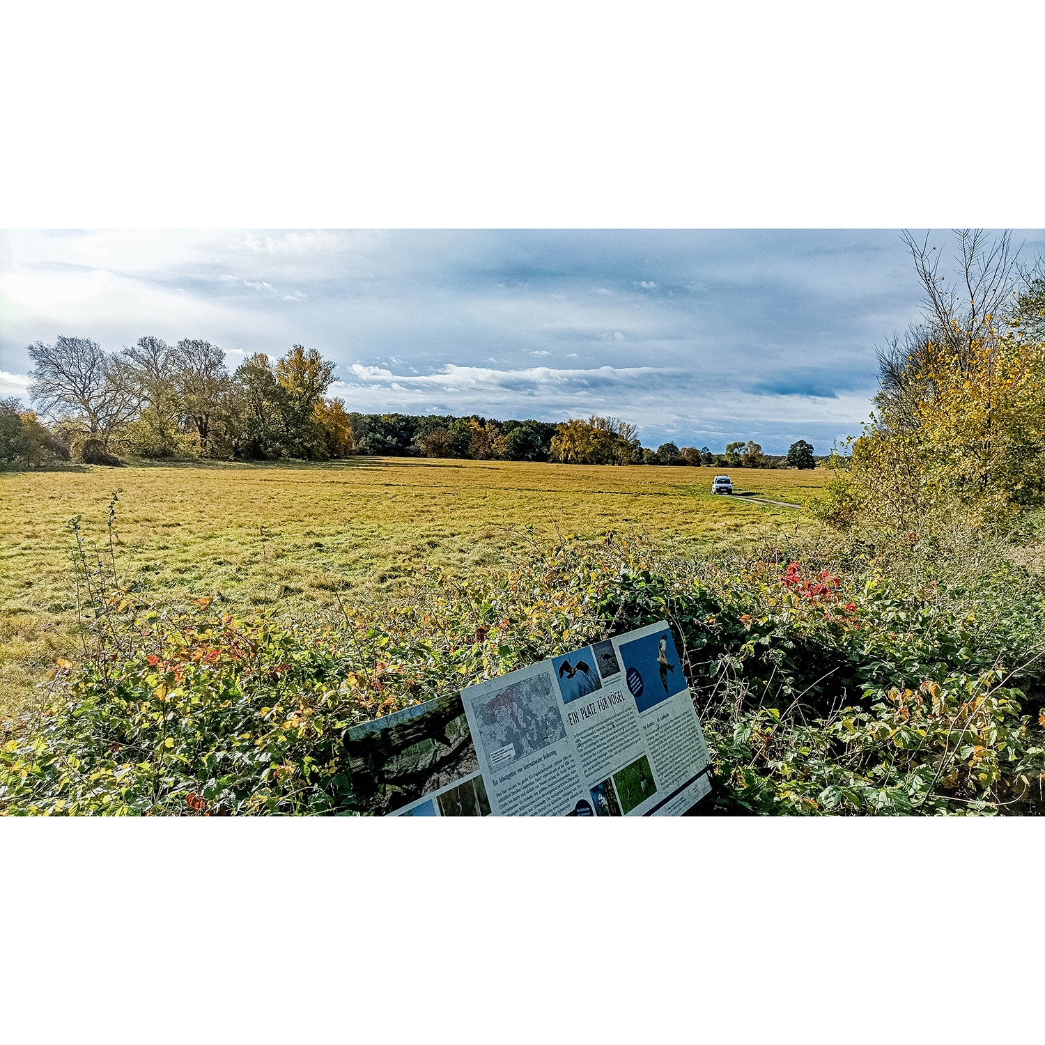 09-Dessau-Roßlau-Roßlau - Unterluch-Nordostspitze - Blick nach Südwesten