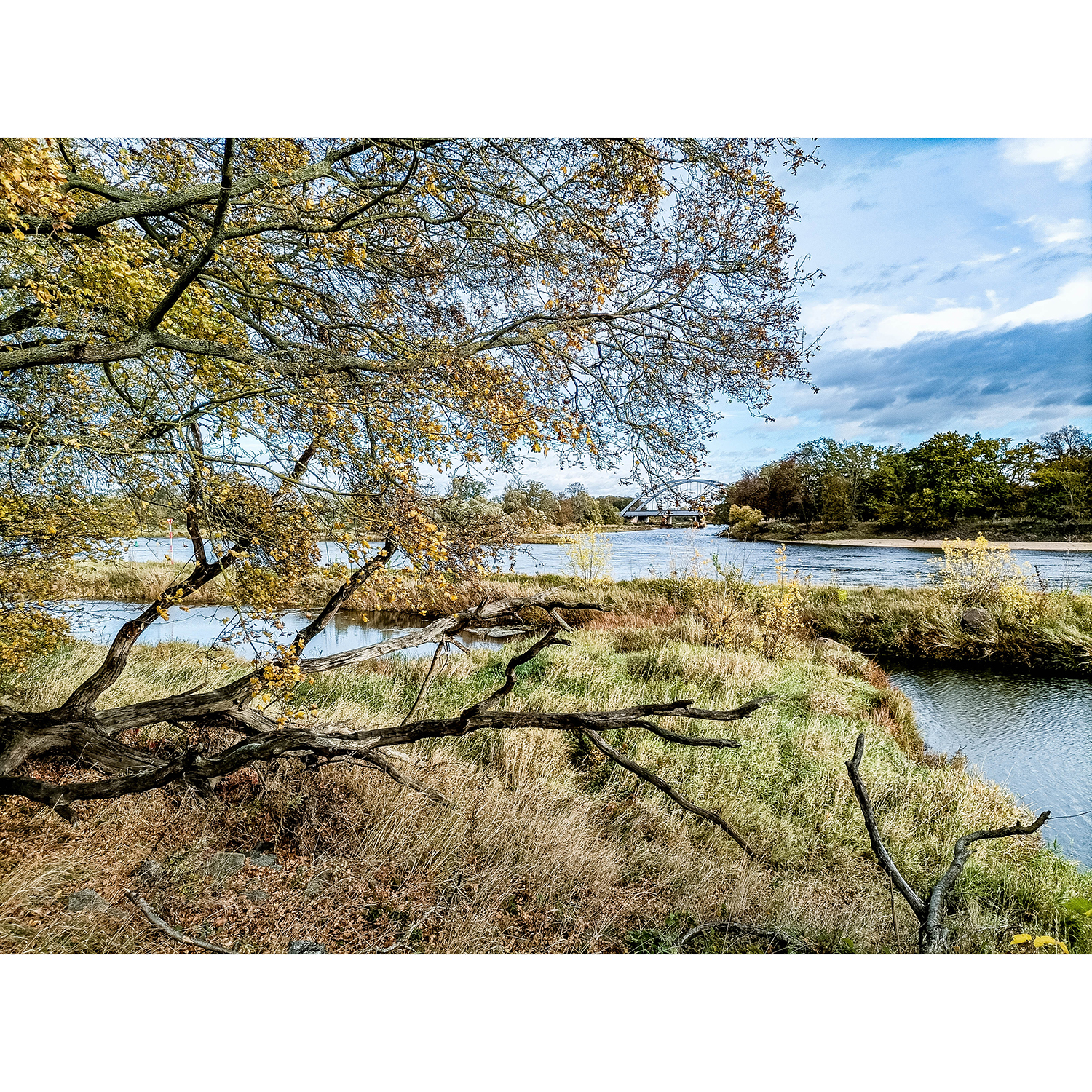 12-Dessau-Roßlau-Roßlau - Unterluch-Ostbereich - Blick nach Nordosten auf Elbe gewässeraufwärts & Einmündung Mulde & Muldebrücke Dessau - B 184