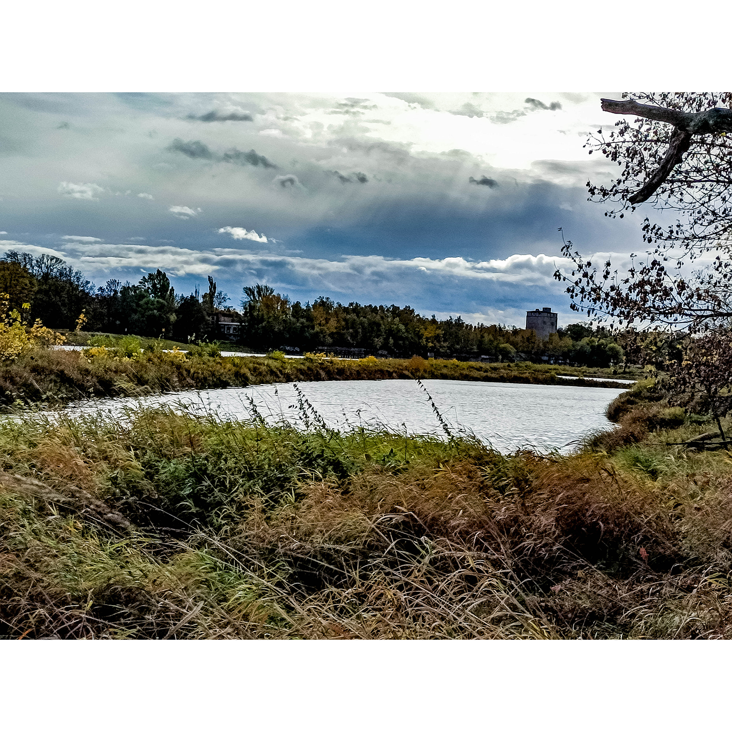 14-Dessau-Roßlau-Roßlau - Unterluch-Ostbereich - Höhe Einmündung Mulde in Elbe - Blick nach Südosten auf Wallwitzhafen & Elbe gewässerabwärts