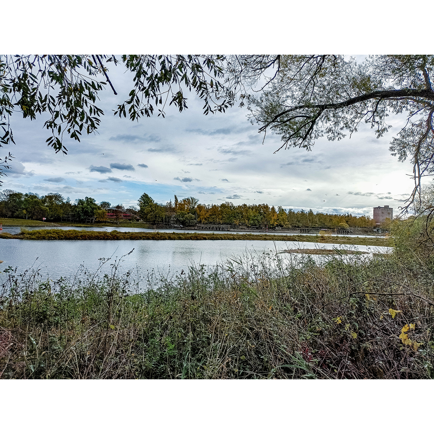 16-Dessau-Roßlau-Roßlau - Unterluch-Südostbereich - Blick nach Südosten auf Wallwitzhafen & Elbe gewässerabwärts