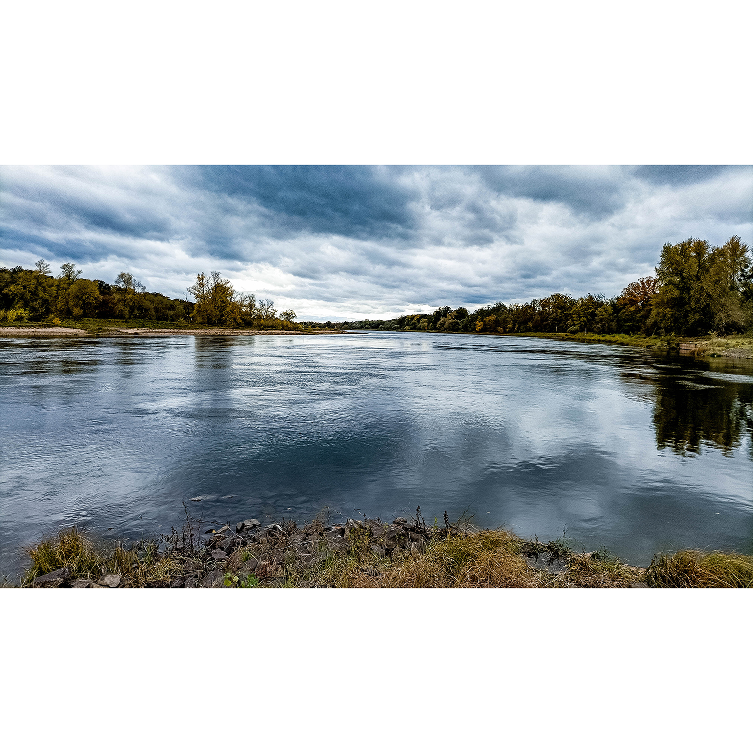 21-Dessau-Roßlau-Roßlau - Unterluch-Nordwestspitze - Blick nach Westen auf Saalberghau & Elbe gewässerabwärts