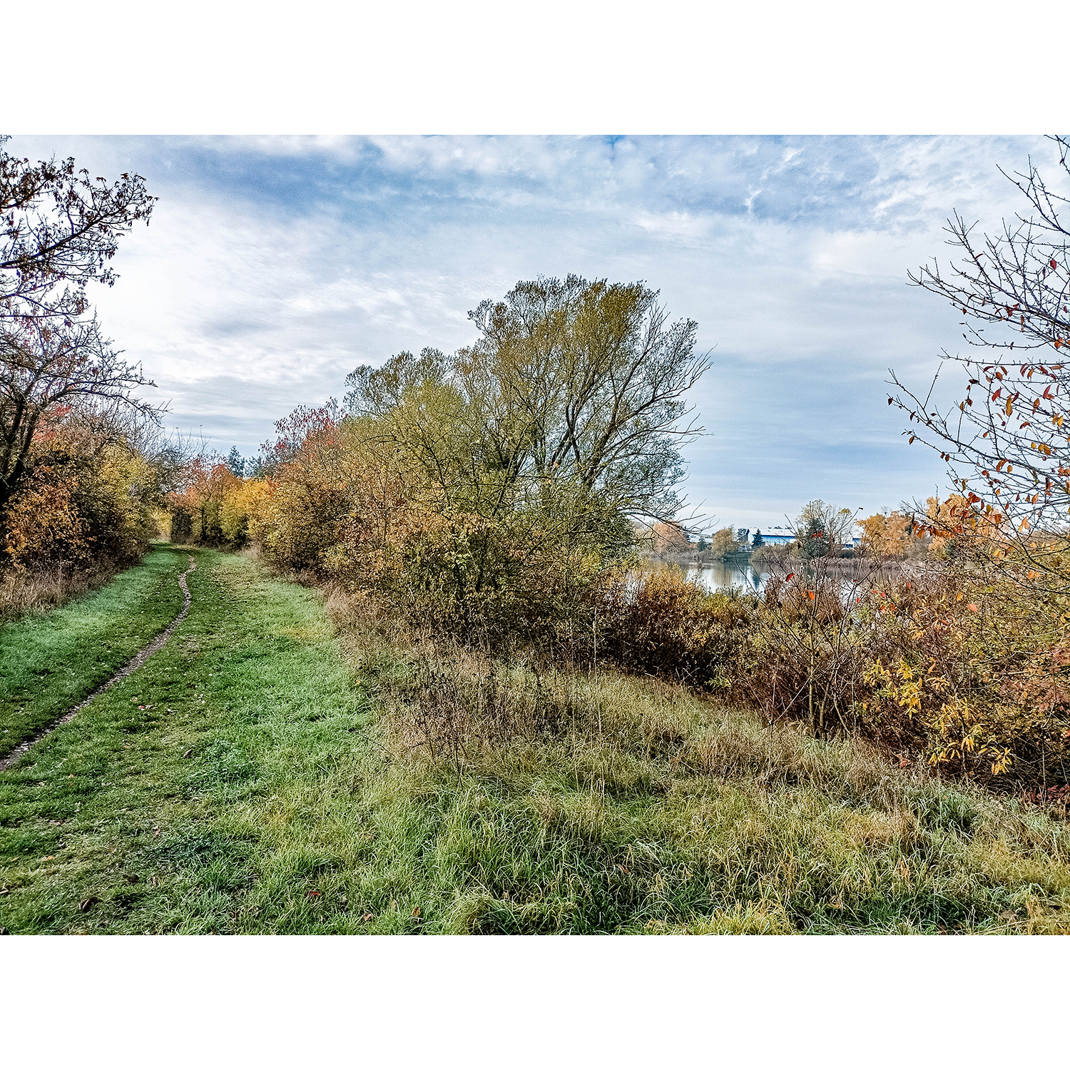06-Goldene Aue - Berga - Ex-Trasse Kyffhäuser Kleinbahn - Blick nach Südwesten auf Ex-Trasse Kyffhäuser Kleinbahn & Neue Kiesgrube