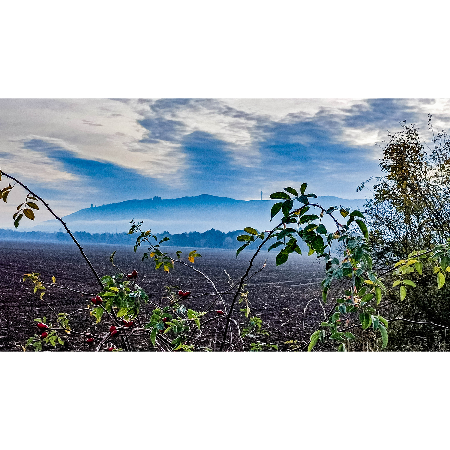07-Goldene Aue - Berga - Ex-Trasse Kyffhäuser Kleinbahn - Blick nach Südosten auf Kyffhäusergebirge