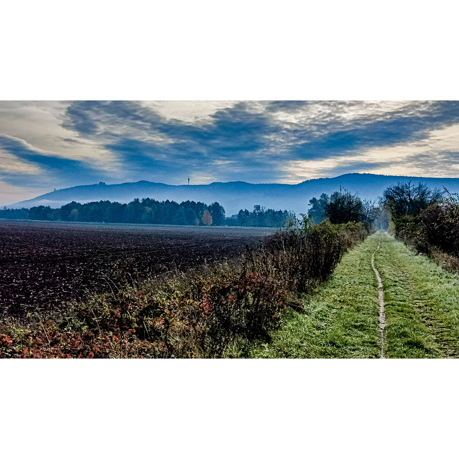 08-Goldene Aue - Berga - Ex-Trasse Kyffhäuser Kleinbahn - Blick nach Südosten auf Kyffhäusergebirge & Ex-Trasse Kyffhäuser Kleinbahn