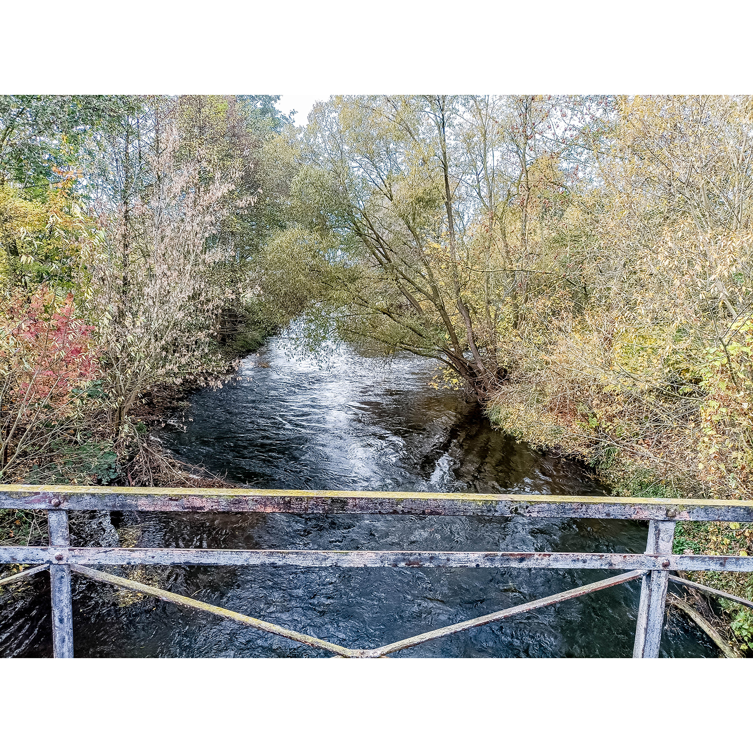 11-Goldene Aue - Berga - Ex-Trasse Kyffhäuser Kleinbahn - Helmebrücke - Blick nach Südwesten auf Helme gewässeraufwärts & Einmündung Thyra in Richtung Helmestausee