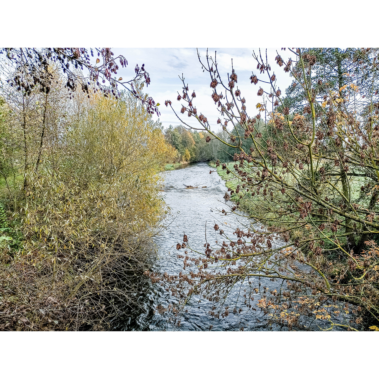 12-Goldene Aue - Berga - Ex-Trasse Kyffhäuser Kleinbahn - Helmebrücke - Blick nach Nordosten auf Helme gewässerabwärts