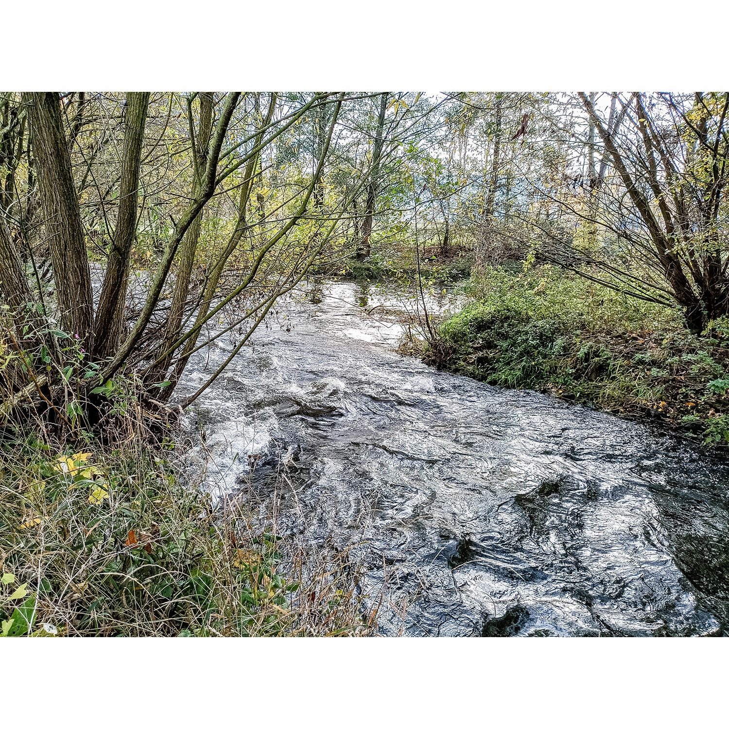 14-Goldene Aue - Berga - Mündungsgebiet Thyra in Helme - Blick nach Südwesten auf Einmündung Thyra in Helme