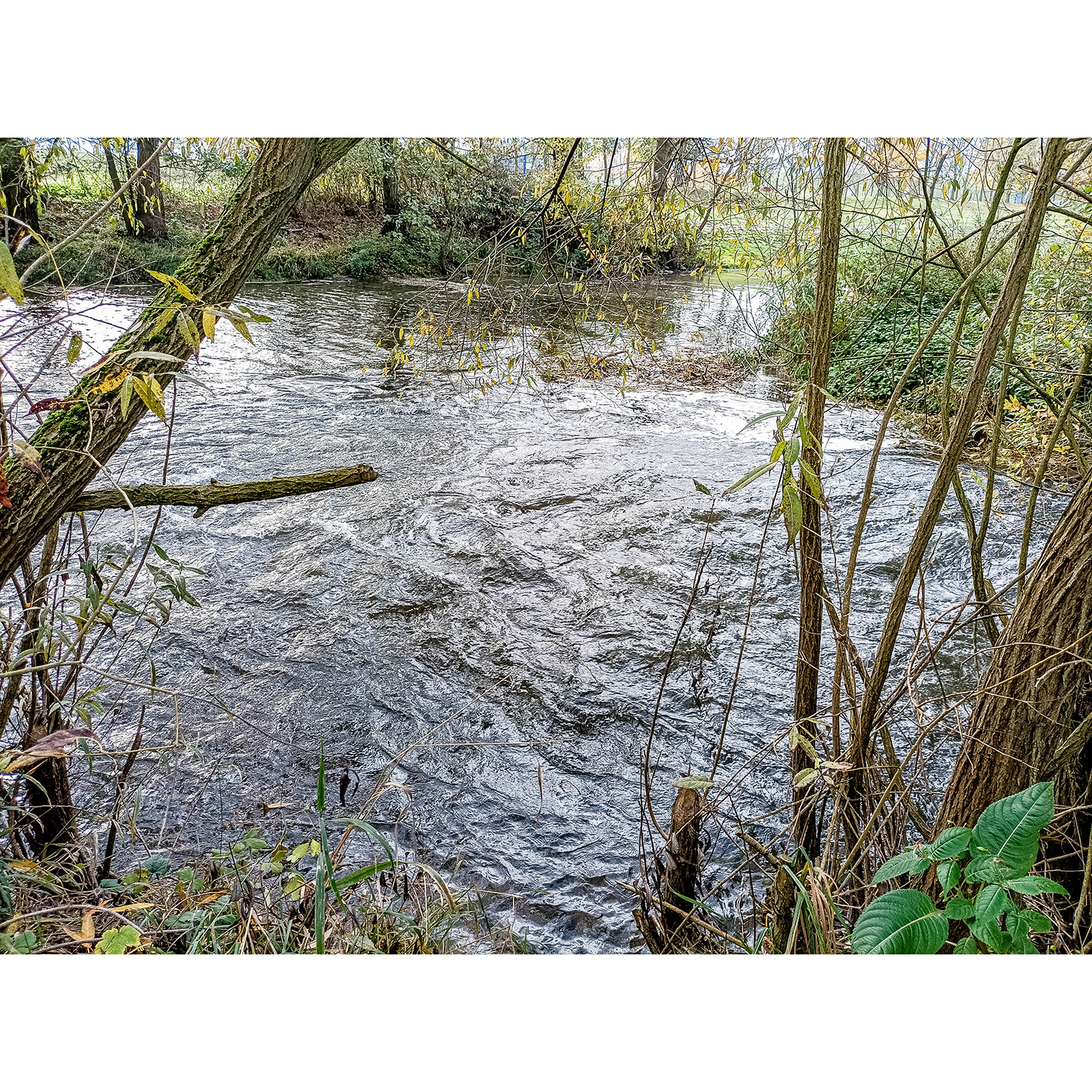 16-Goldene Aue - Berga - Mündungsgebiet Thyra in Helme - Blick nach Süden auf Einmündung Thyra in Helme & Helme gewässeraufwärts
