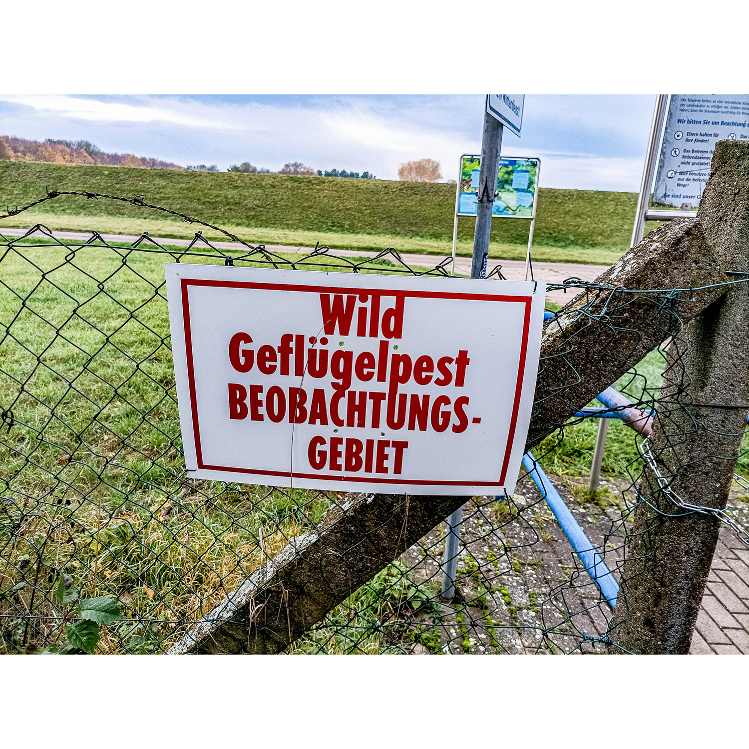 20-Goldene Aue - Kelbra - Verbindungsweg Triftstraße - Helmestausee - Höhe Vogelbeobachtungsturm - Blick nach Südwesten auf Damm Helmestausee