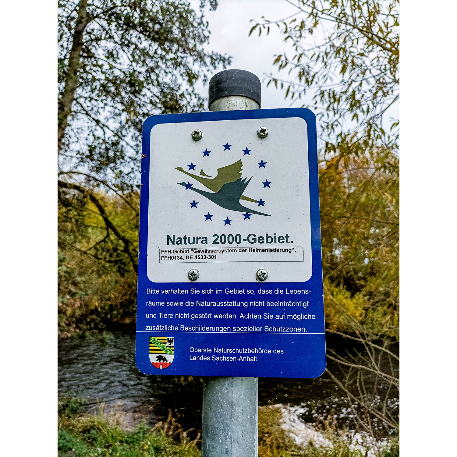 23-Goldene Aue - Kelbra - Helmeaue - Blick nach Nordwesten auf Schild Natura 2000