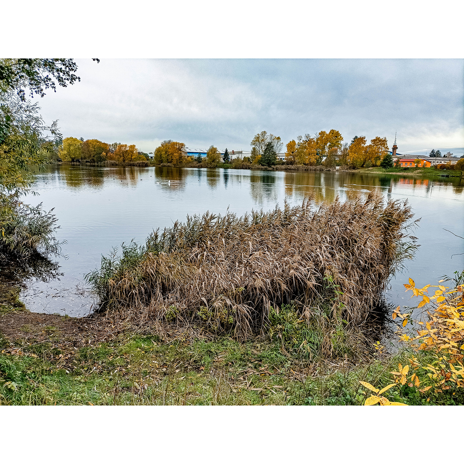 27-Goldene Aue - Berga - Ex-Trasse Kyffhäuser Kleinbahn - Blick nach Westen auf Neue Kiesgrube