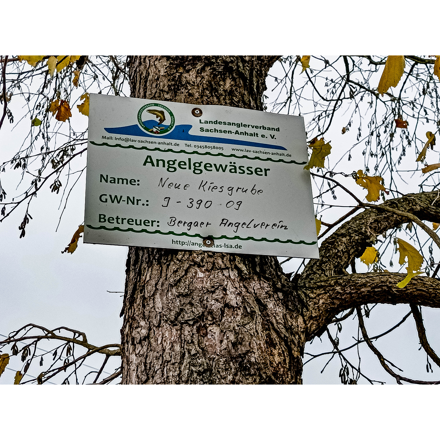 28-Goldene Aue - Berga - Ex-Trasse Kyffhäuser Kleinbahn - Blick nach Nordwesten auf Schild Angelgewässer Neue Kiesgrube